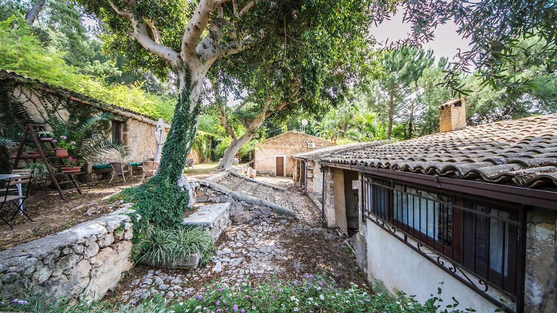 Casa Strelizie Villa Terrasini