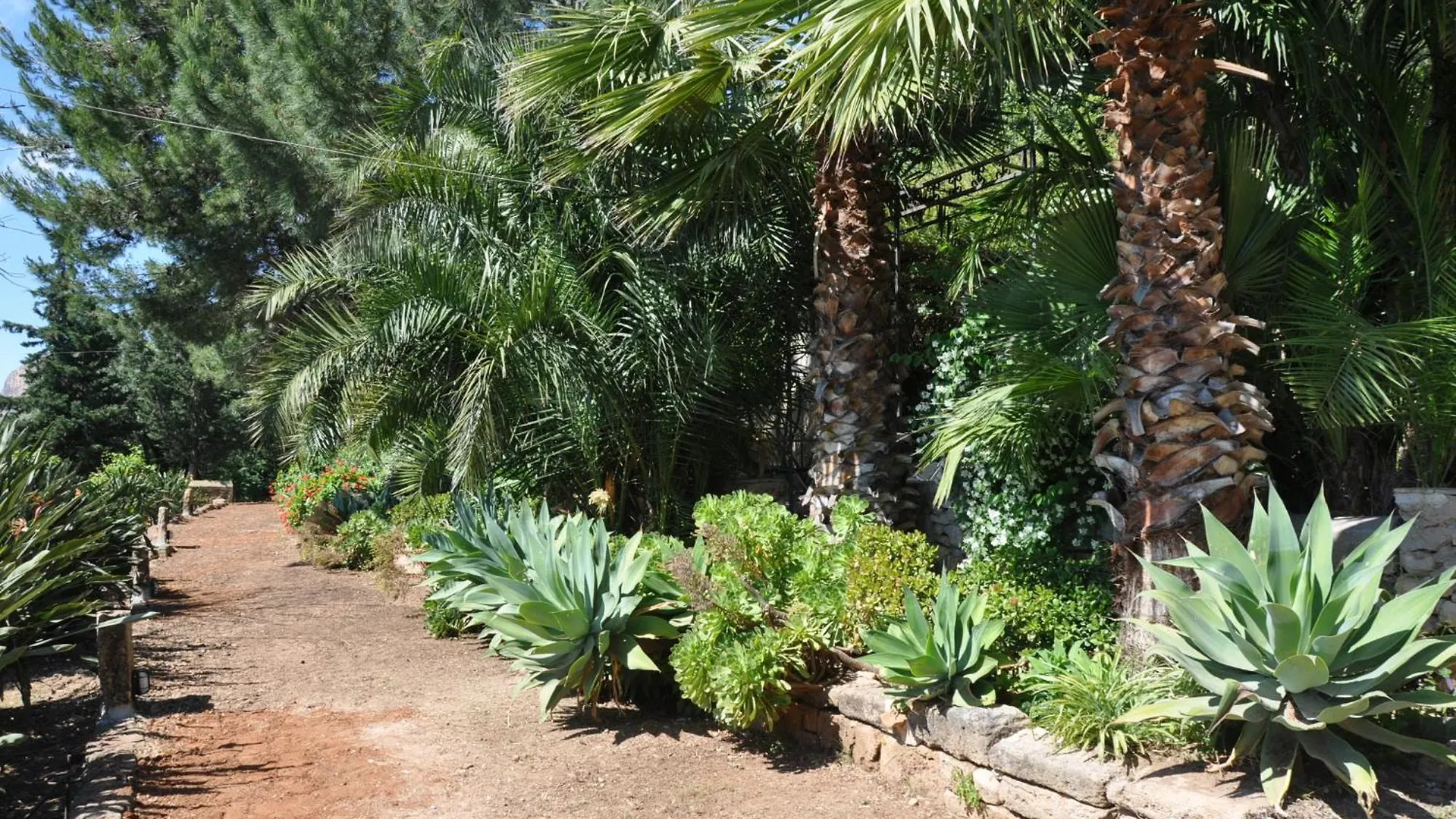 Holiday home Casa Strelizie Villa Terrasini